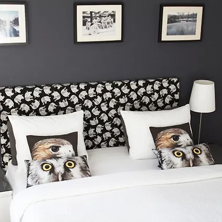 Velvetamsterdam Pansiyon *