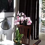 Homestay Velvetamsterdam Amsterdam