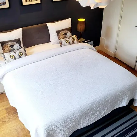 Velvetamsterdam أمستردام