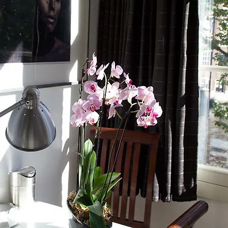 Velvetamsterdam * Amsterdam