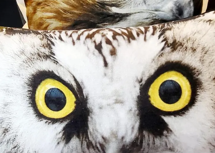 Kwatera prywatna Velvetamsterdam *