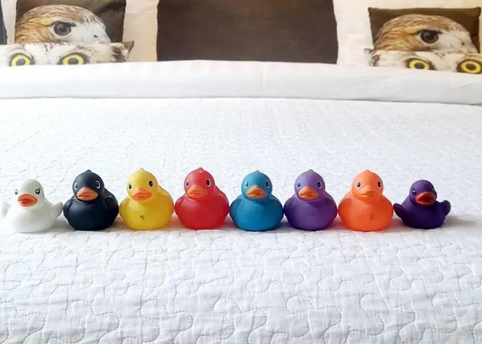 Velvetamsterdam Kwatera prywatna Amsterdam