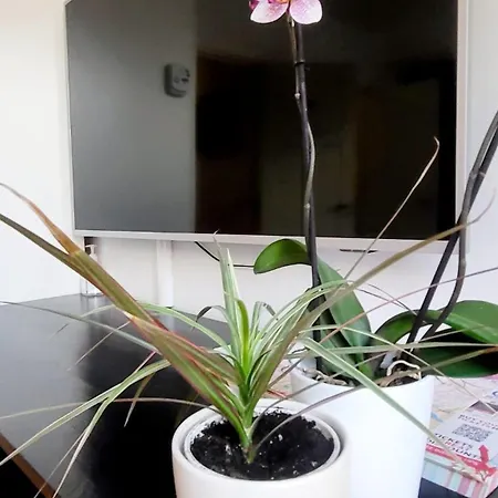 בית אירוח Velvetamsterdam *