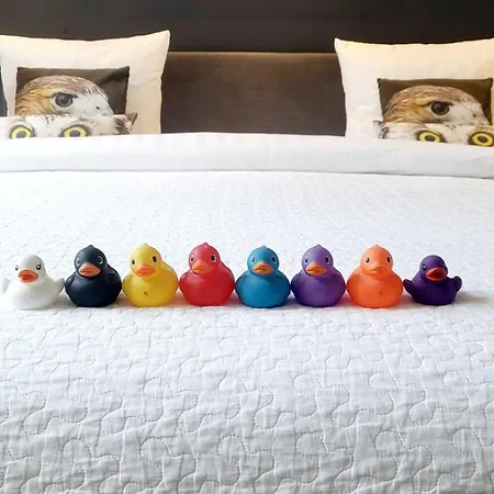 Velvetamsterdam בית אירוח אמסטרדם