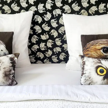 Velvetamsterdam אמסטרדם