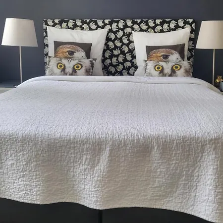 Homestay Velvetamsterdam *
