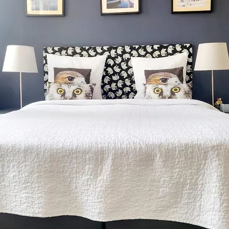Velvetamsterdam Homestay