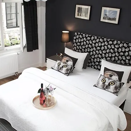 Homestay Velvetamsterdam Amsterdam