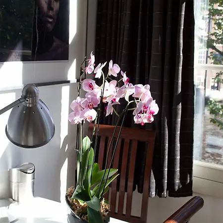 Homestay Velvetamsterdam Amsterdam